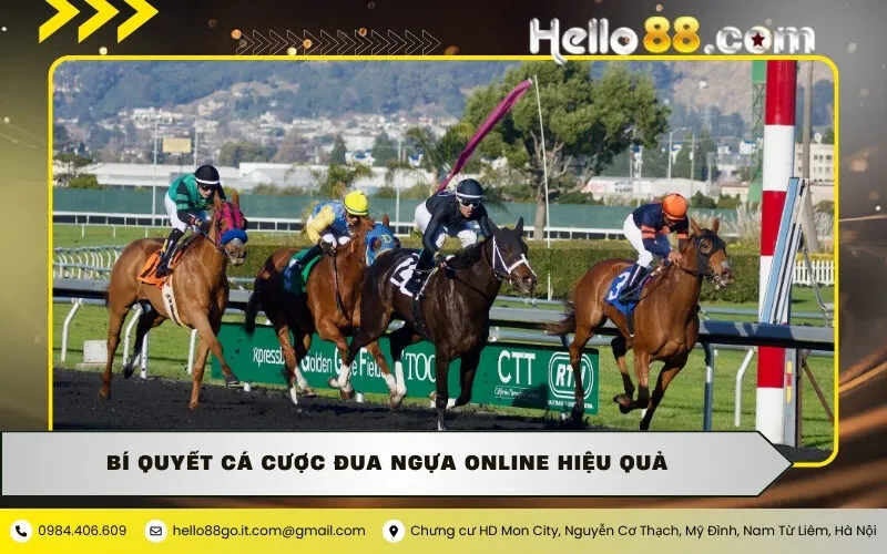 Bí quyết cá cược đua ngựa online hiệu quả
