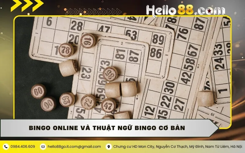 Bingo online và thuật ngữ Bingo cơ bản