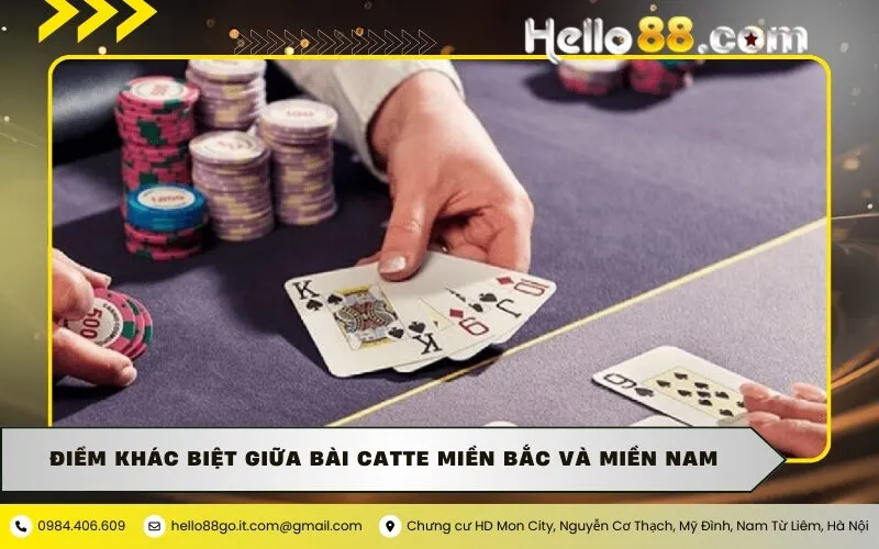 Điểm khác biệt giữa bài Catte miền Bắc và miền Nam