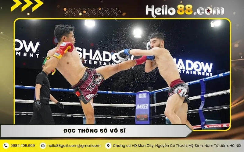 Đọc Thông Số Võ Sĩ