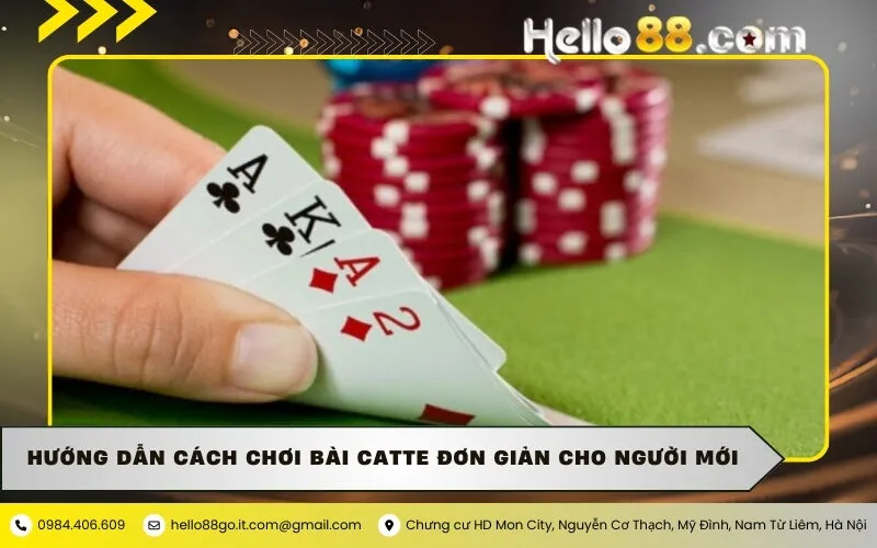 Hướng Dẫn Cách Chơi Bài Catte Đơn Giản Cho Người Mới